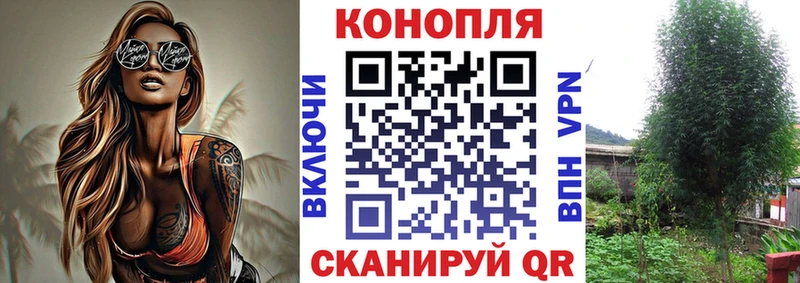 купить наркоту  Камбарка  Марихуана ГИДРОПОН 